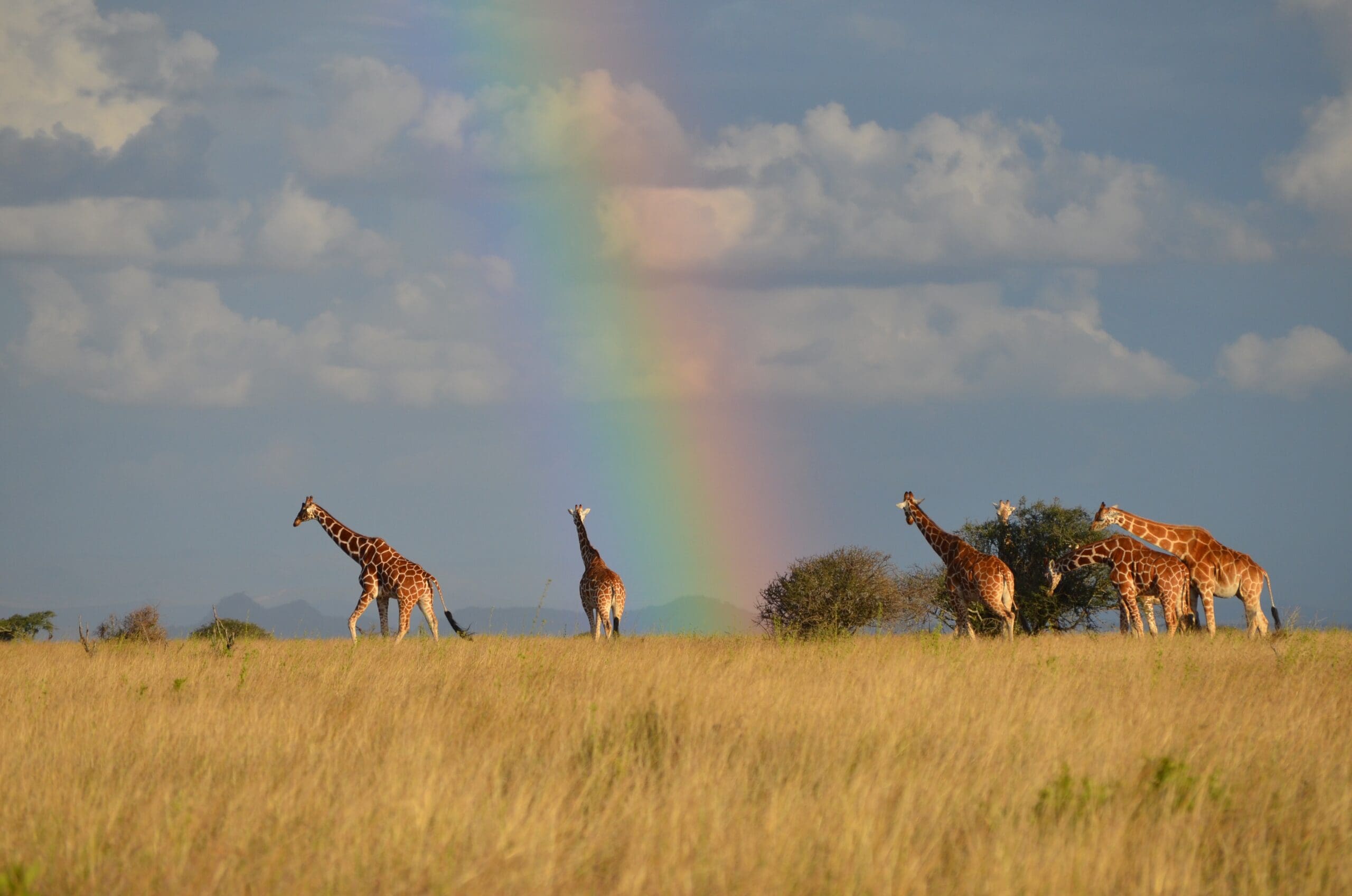 Real talk: Conservation Champions ARE Climate Champions