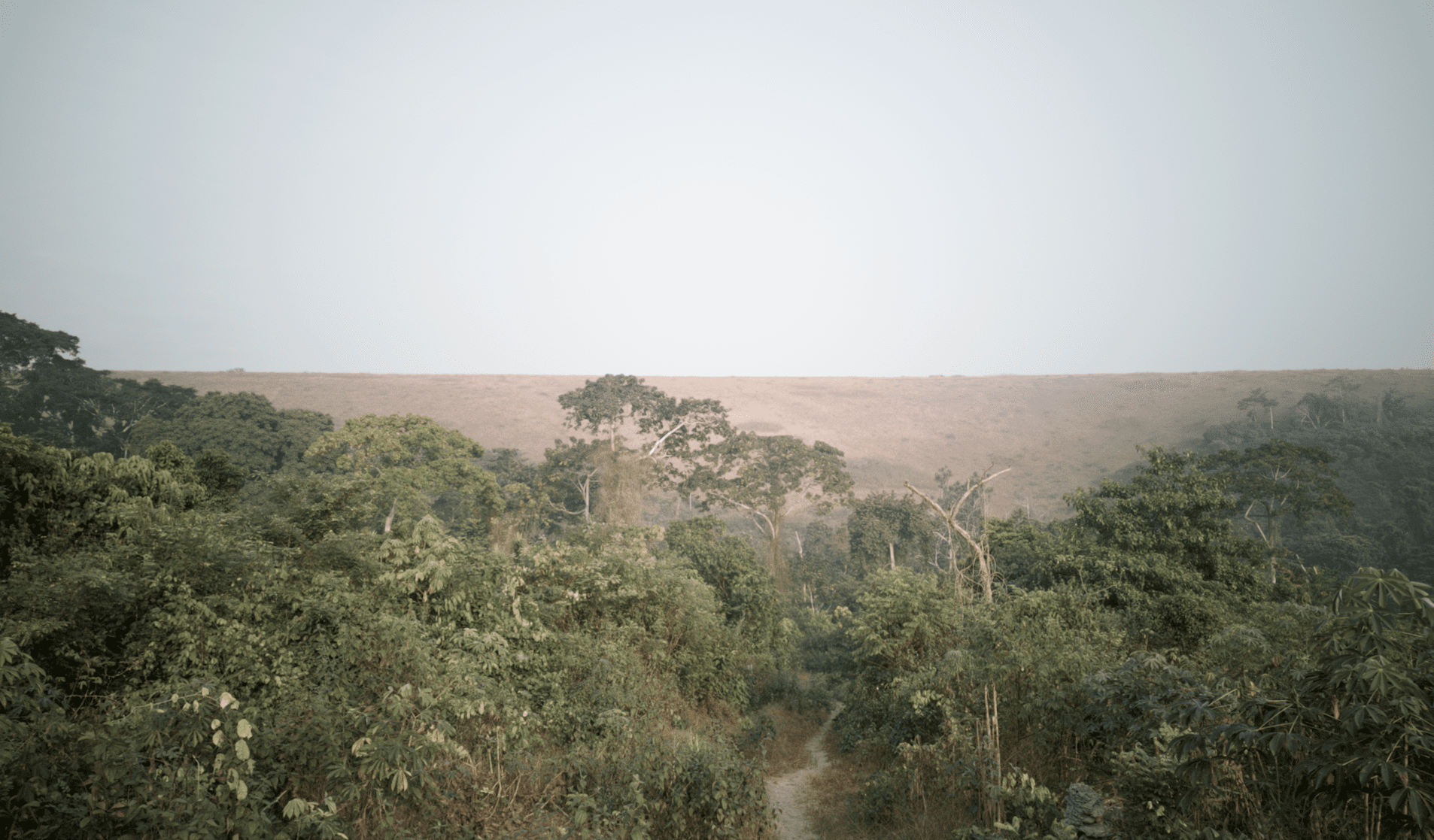 From Commitment to Action : Enabling Funding for Indigenous Peoples in Multilateral Climate and Biodiversity Initiatives